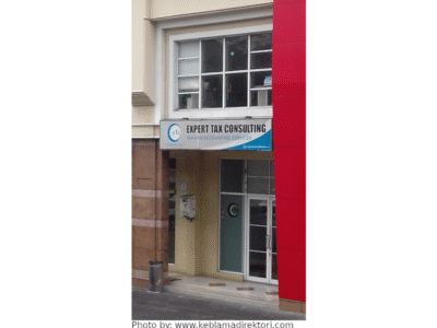 Expert Tax Consulting